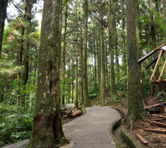 桃園溫泉飯店周邊景點一日遊推薦攻略