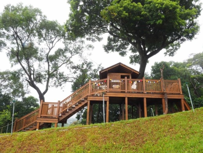 梅居休閒農場一日遊行程規劃與景點推薦