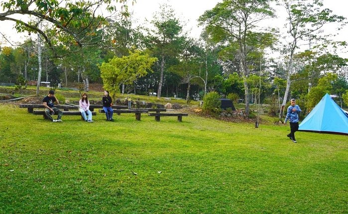 樂活森林農場親子活動全攻略：讓孩子愛上大自然