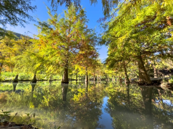 探索台一生態休閒農場：台灣生態旅遊必訪景點