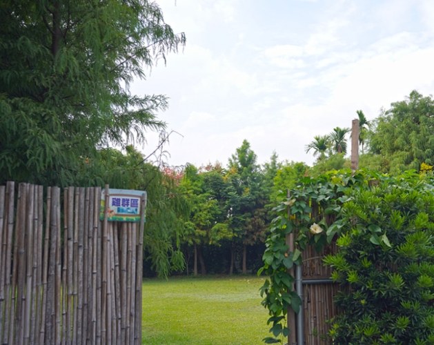 星錡休閒農場親子活動推薦：全家同樂的行程規劃