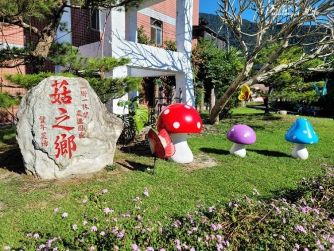 台灣休閒農場推薦：5大特色養鱒體驗分享