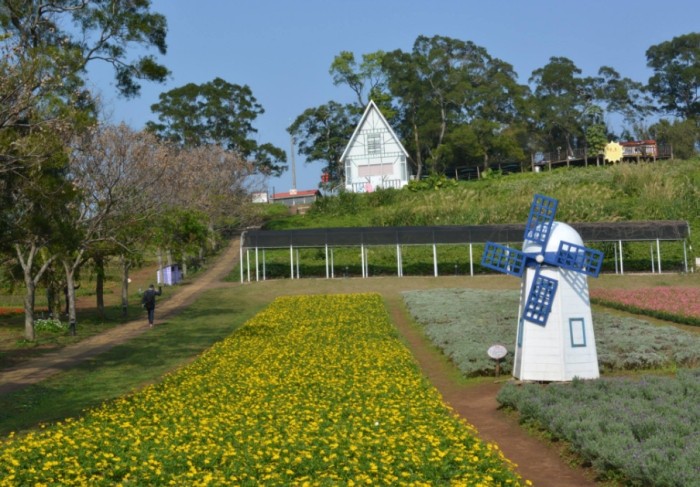 大溪農場的親子農遊體驗：一日遊行程規劃攻略